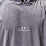 Mikina Cayler & Sons New Age Short Sleeve Hoody Grey Novinka